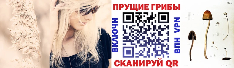 Псилоцибиновые грибы MAGIC MUSHROOMS  Кемерово 